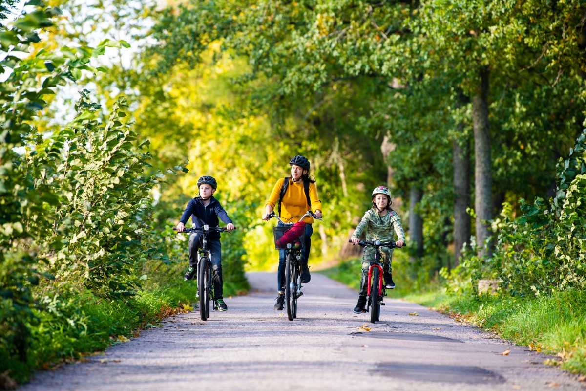 Trails of Västmanland – utvalda leder för dig som vill uppleva Västmanland